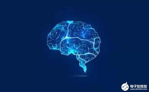 人工智能基础软件 数字化转型的引擎与软件开发革命的催化剂